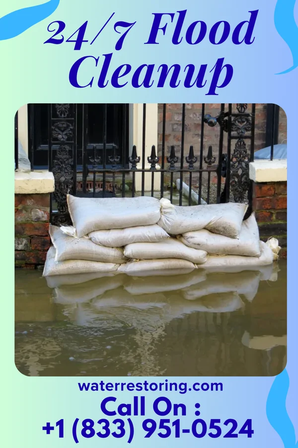 24/7 Flood Cleanup in Paw Paw Lake, MI