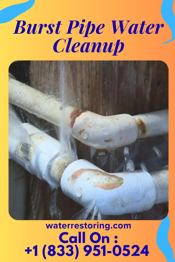 Burst Pipe Water Cleanup in Paw Paw Lake, MI