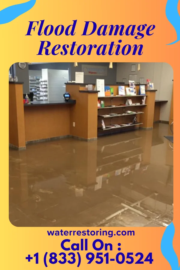 Flood Damage Restoration in Paw Paw Lake, MI