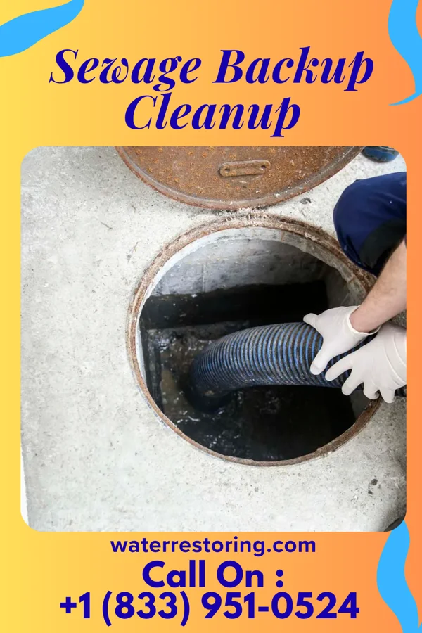 Sewage Backup Cleanup in Paw Paw Lake, MI