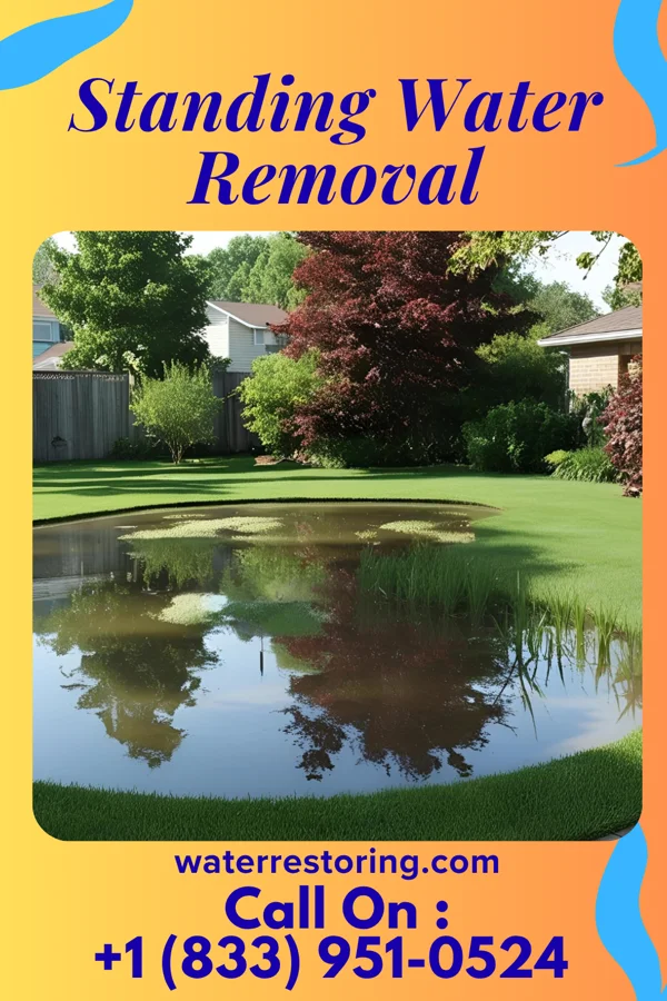 Standing Water Removal in Paw Paw Lake, MI